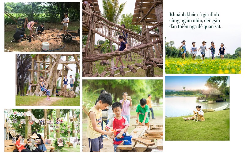 Review công viên hồ thiên nga Ecopark Văn Giang Hưng Yên Hà Nội - Swan Lake Park