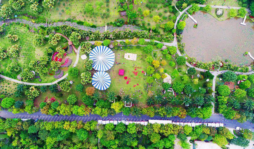Lễ hội Hoa Xuân Ecopark - Công viên mùa xuân ngàn hoa Ecopark