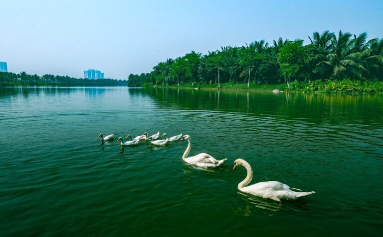 ecopark swan lake park hung yen cong vien ho thien nga