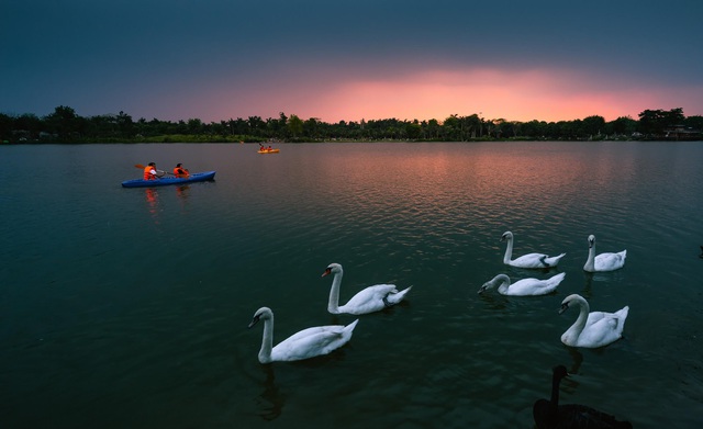 Review công viên hồ thiên nga Ecopark Văn Giang Hưng Yên Hà Nội - Swan Lake Park