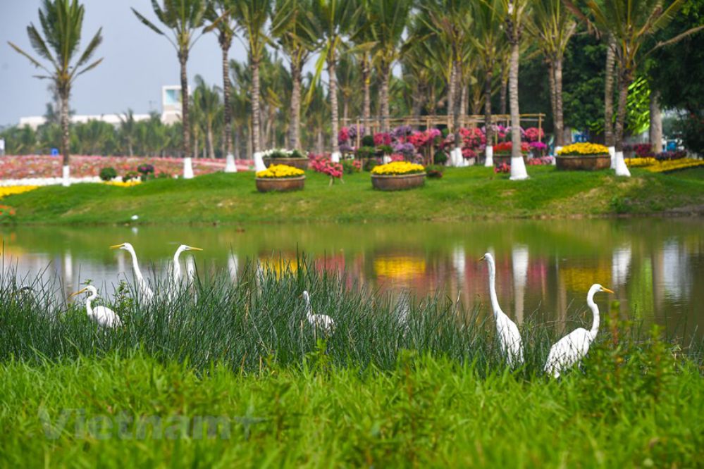 công viên hồ thiên nga Vinh Nghệ An - Eco Central Park Swan Lake Park